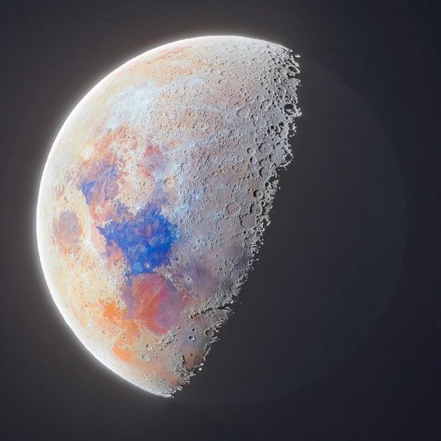 Shadow the Hedgehog kinnie tweet media