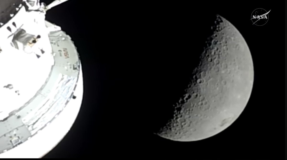 Tuva Cihangir Atasever tweet media