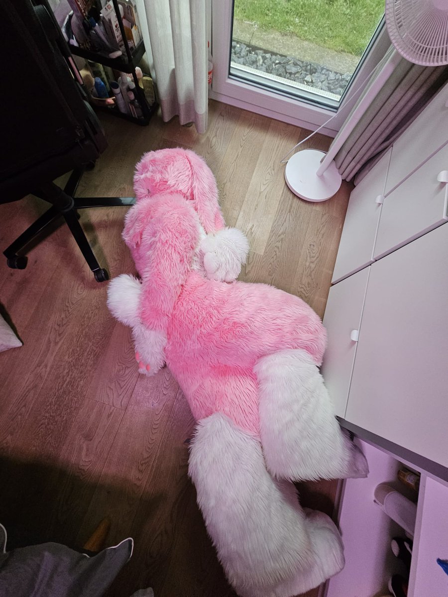 Mochi 🍡 tweet media