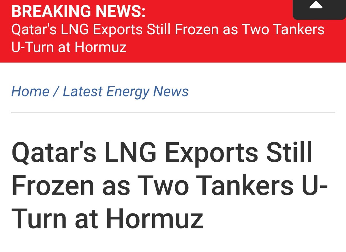 Seyed Mohammad Marandi tweet media