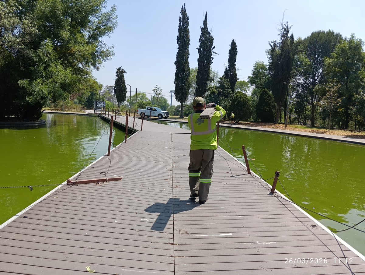 Bosque De Chapultepec tweet media