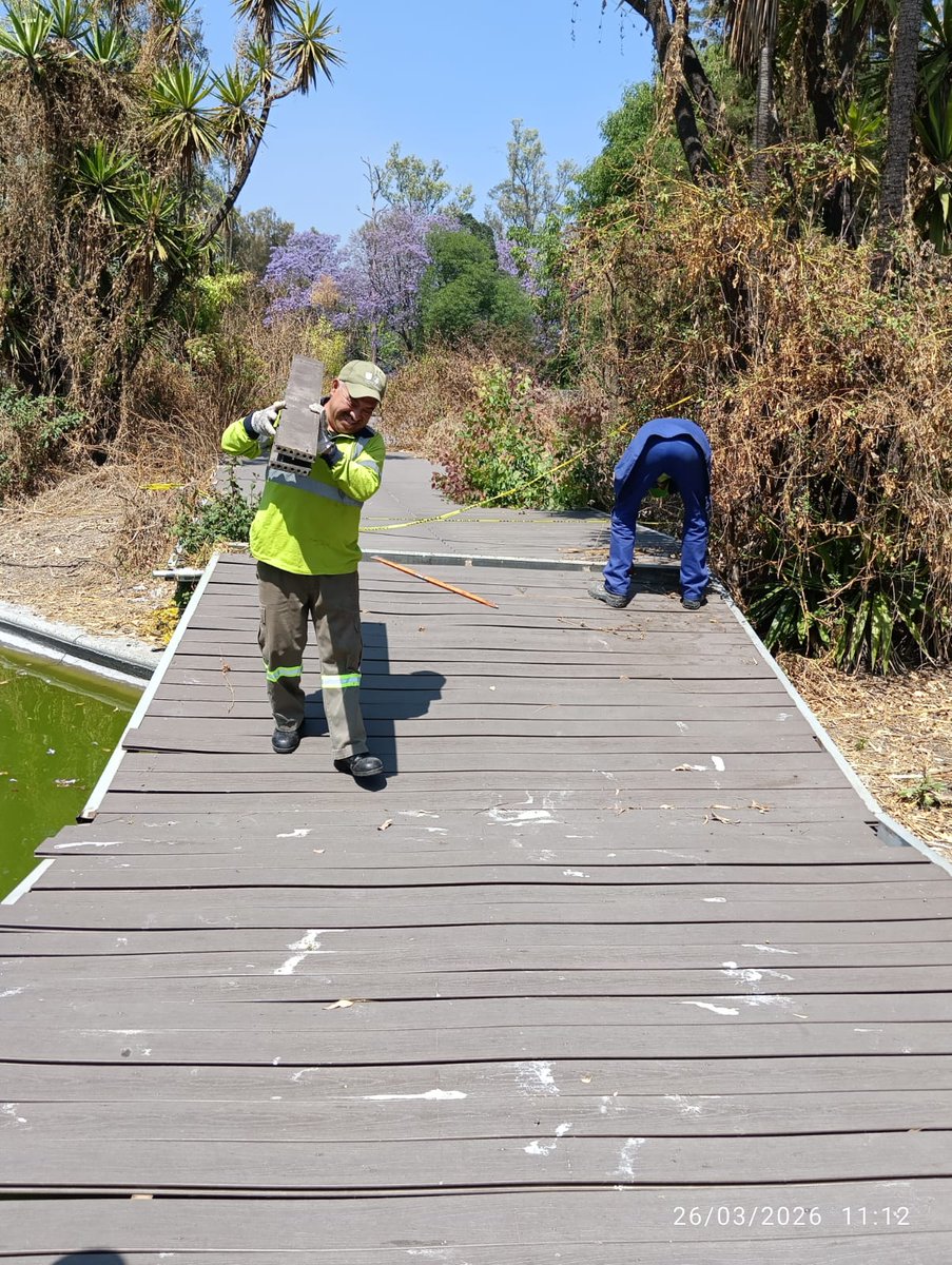 Bosque De Chapultepec tweet media