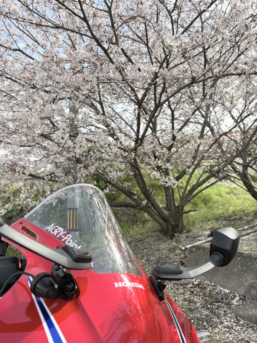 クロネコPart II tweet media