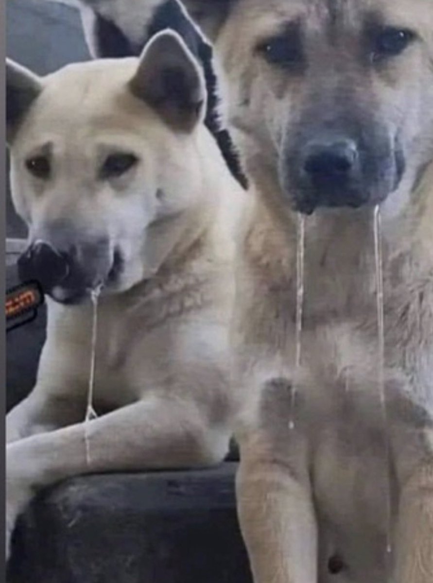 duru ziyagil tweet media