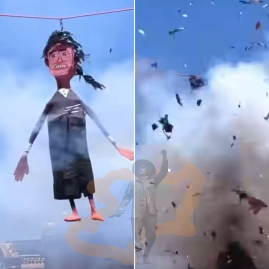 EL TORITO ALFA HETEROPATRIACAPITALISTA tweet media