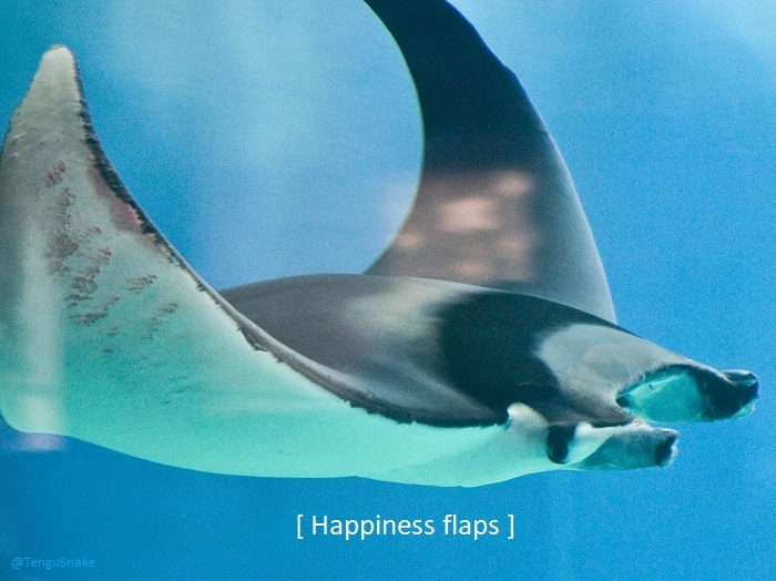 TenguSnake tweet media