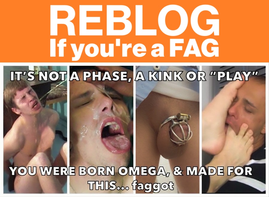 Gay Sub University🍆 tweet media