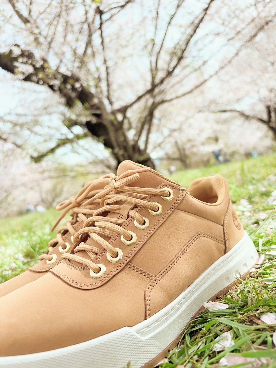 マサ / MASA @refined_days tweet media