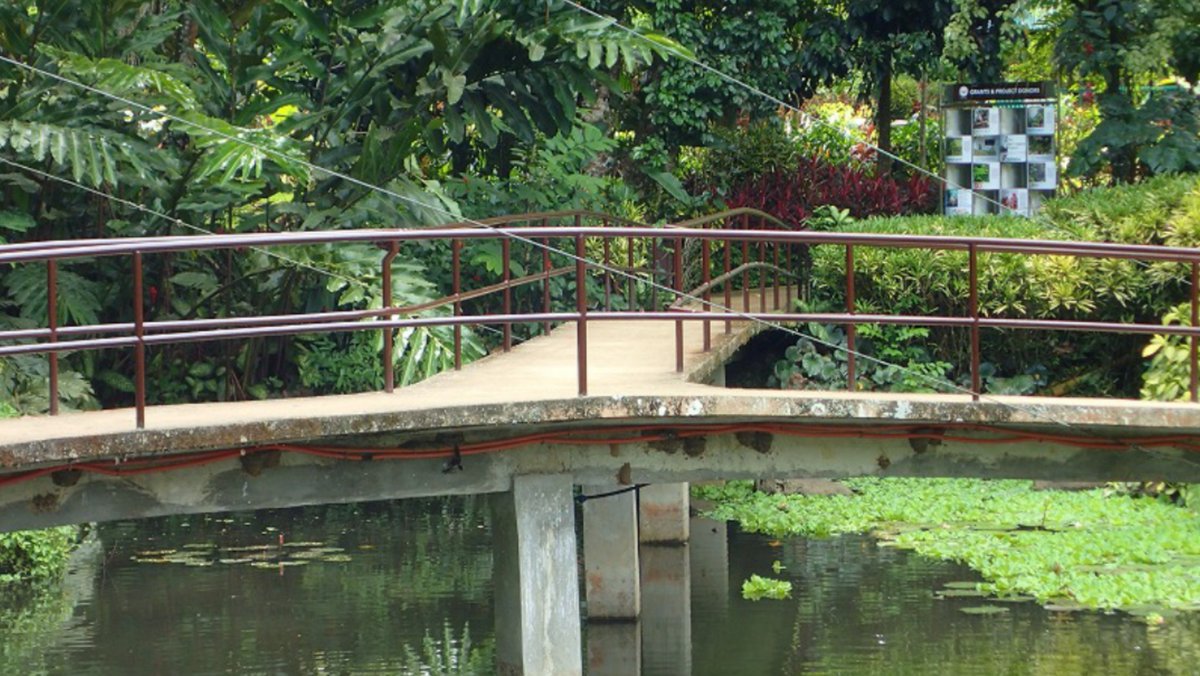 YOS改@雀ちゃん推し tweet media