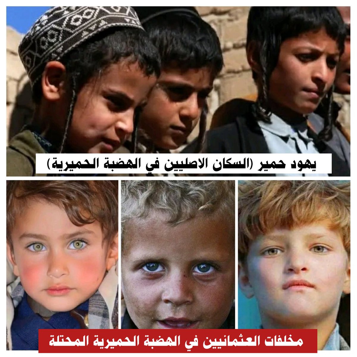 ابوملجم المرادي tweet media