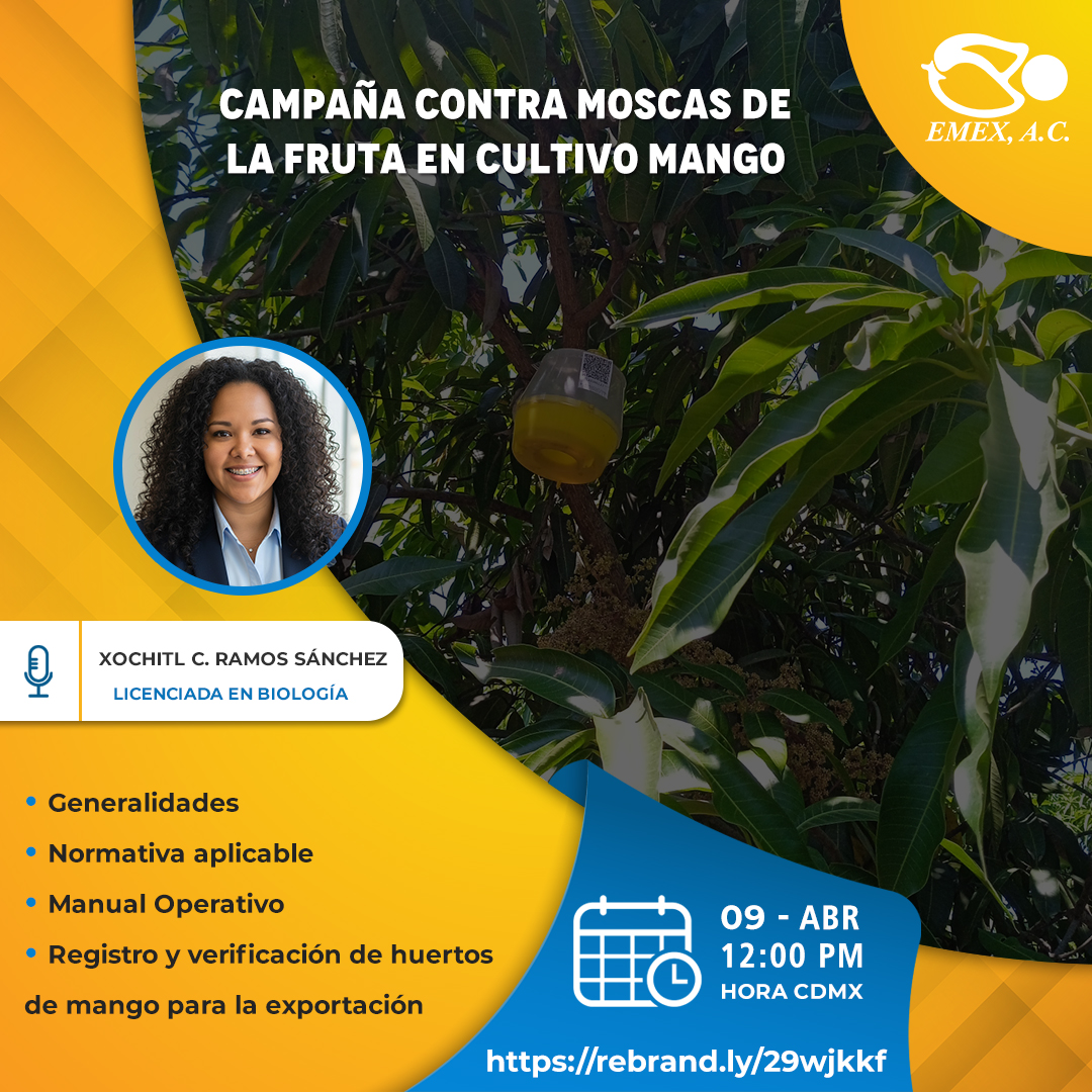 EMEX, A.C. tweet media