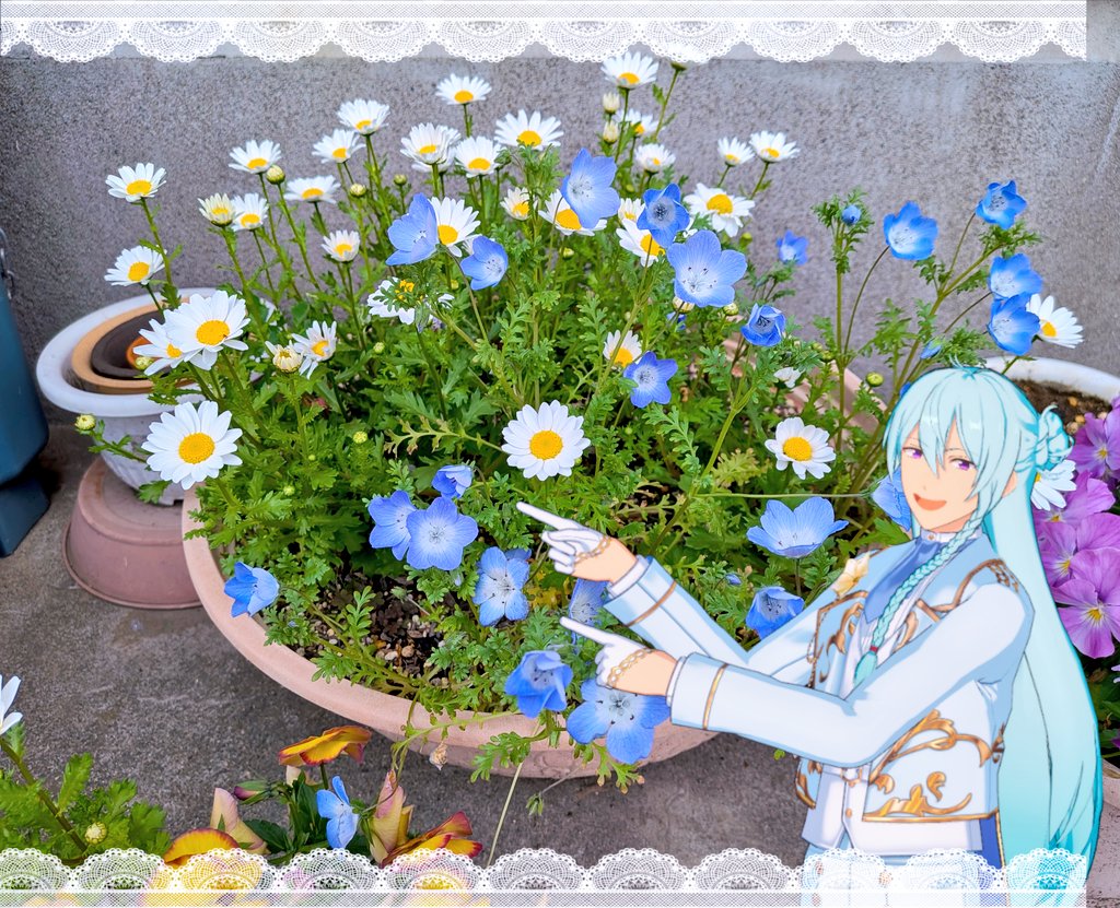 えむち⟡.· tweet media