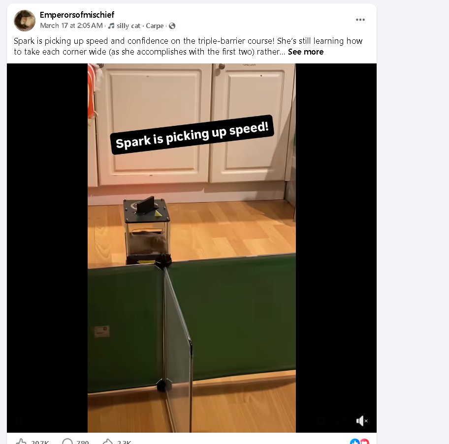 Zayne Dev tweet media