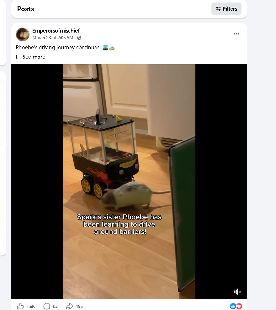 Zayne Dev tweet media