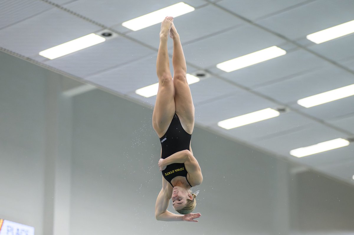 Cyclone Swim & Dive tweet media