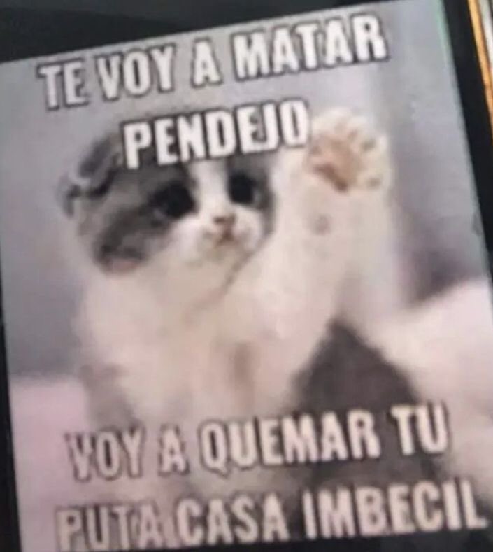 ᅠ
ᅠ
ᅠ
ᅠ
           ————  baji cuando lo piromániaca se apodera de ella  ¿