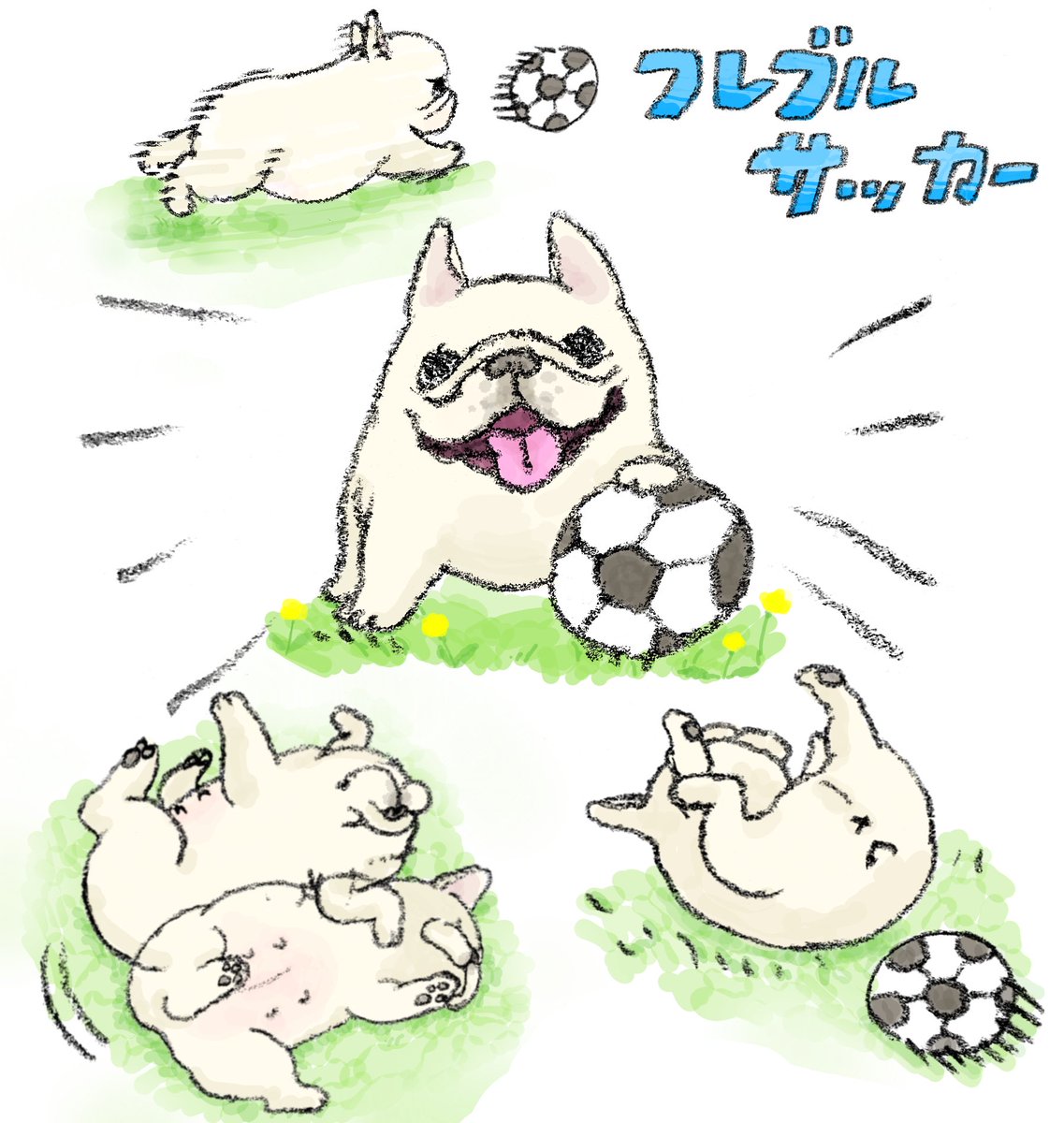 ハナちゃん tweet media