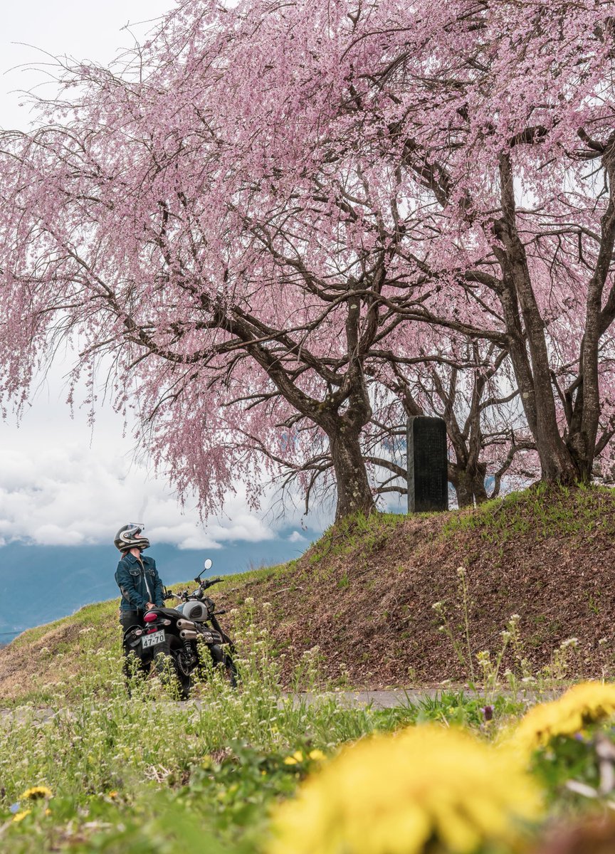 のん@バイク女史部No.900s tweet media
