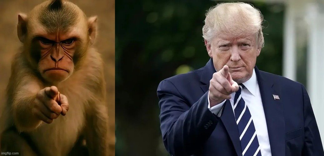 milkshake tweet media