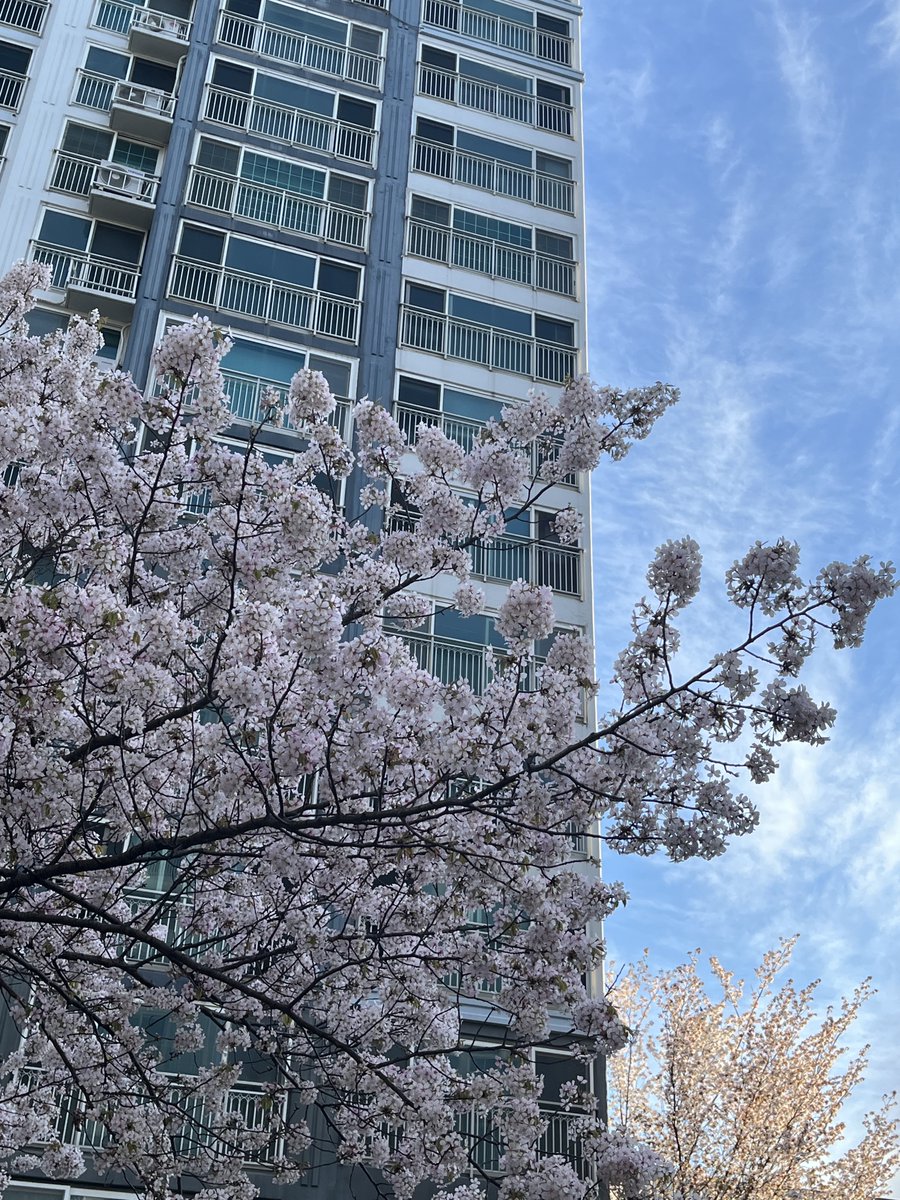 공부중 tweet media