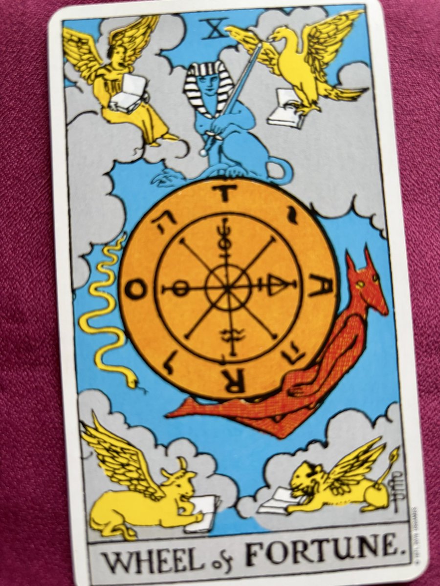 みゅー tweet media