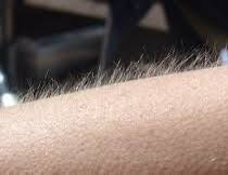 مخلد | wm5ld tweet media