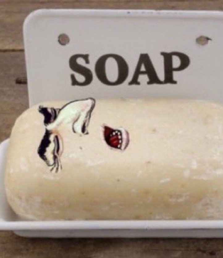 Arthur ⚡⚡ tweet media