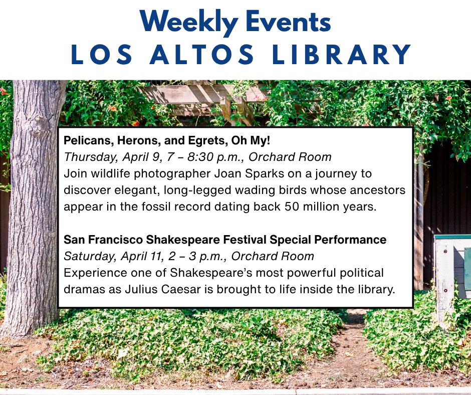 sccld's tweet photo. Take a look at our library programs happening this week. Find our full calendar of events at https://t.co/pjp7MPs9iZ https://t.co/lPBXhe95Le