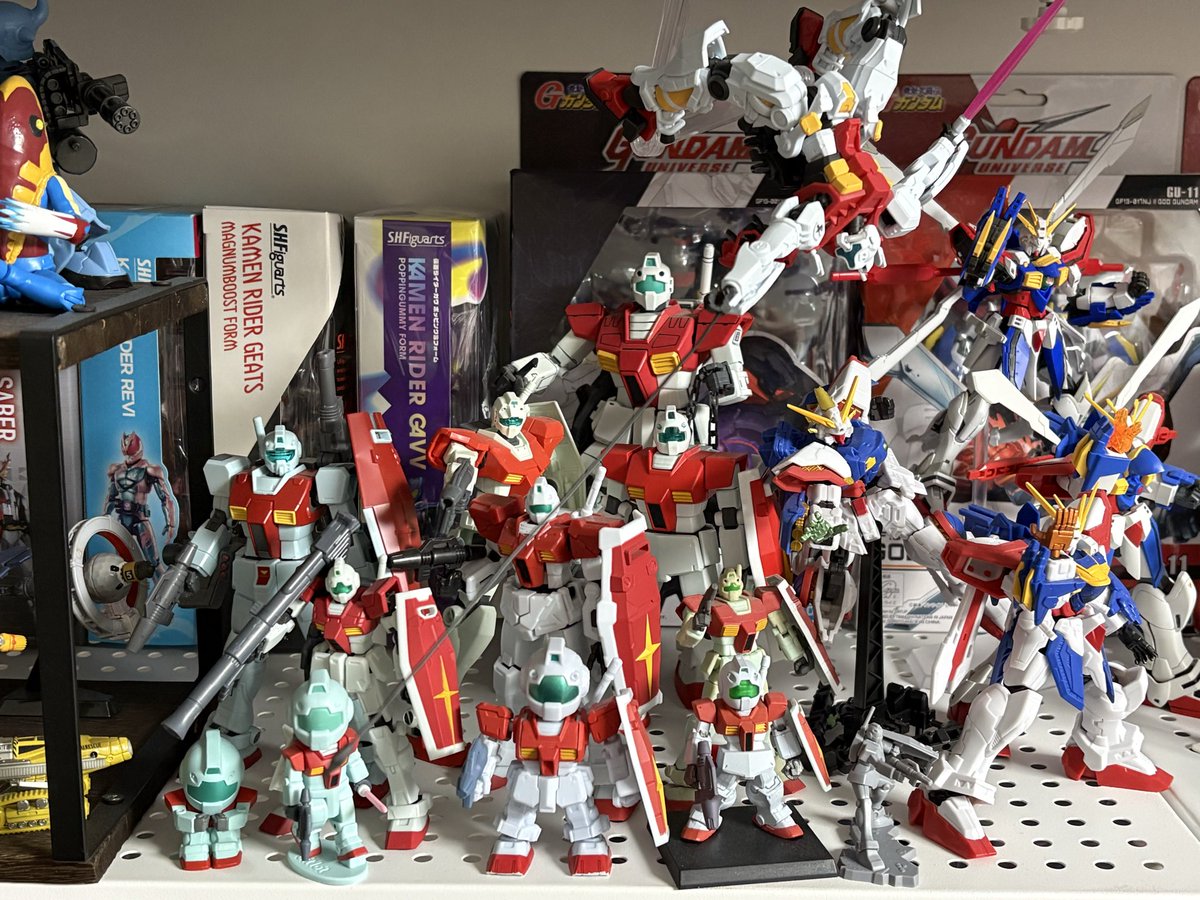 あまり増えてないけどうちのジムたち
 #ジムの日