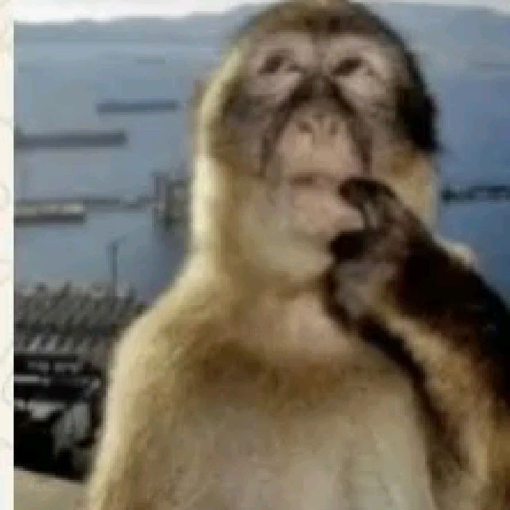 『ST4TIC』 tweet media