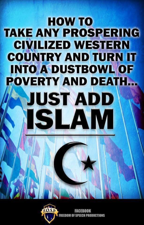 No Romance tweet media