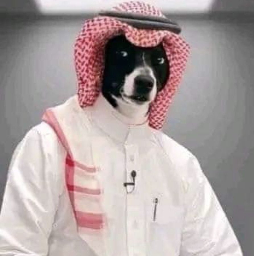 ايران والعراق لايمكن الفراق🇮🇷🇮🇶 tweet media