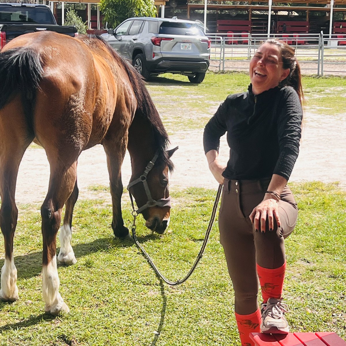 #DavieHorseBoarding #HorseBoardinginDavie #FortLauderdaleStables #DavieStables #DavieStable #DavieBarnes #BestBarnDavie #HorseTrailsInDavie #HorseLessonsindavie #HorseAdoptionInDavieFlorida #SouthFloridaBarnes #2025BestBarninDavie #whereto BoardinDavie