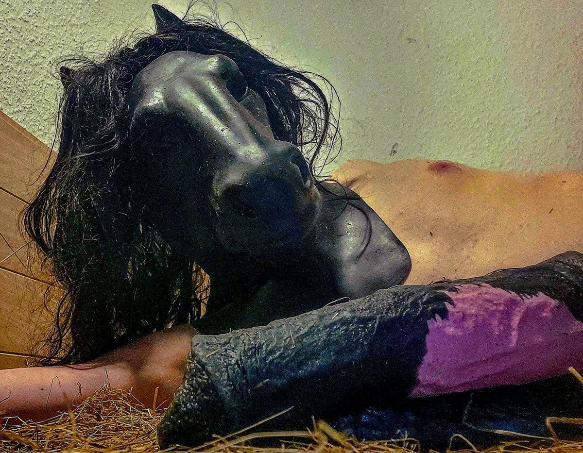 Buddy's Saucy Rump 🐎 tweet media