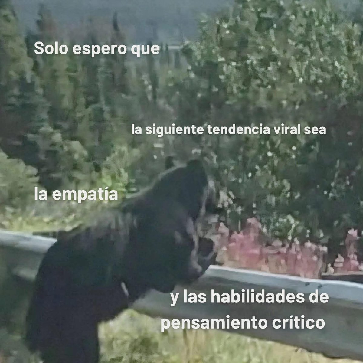 Nasty Poet tweet media