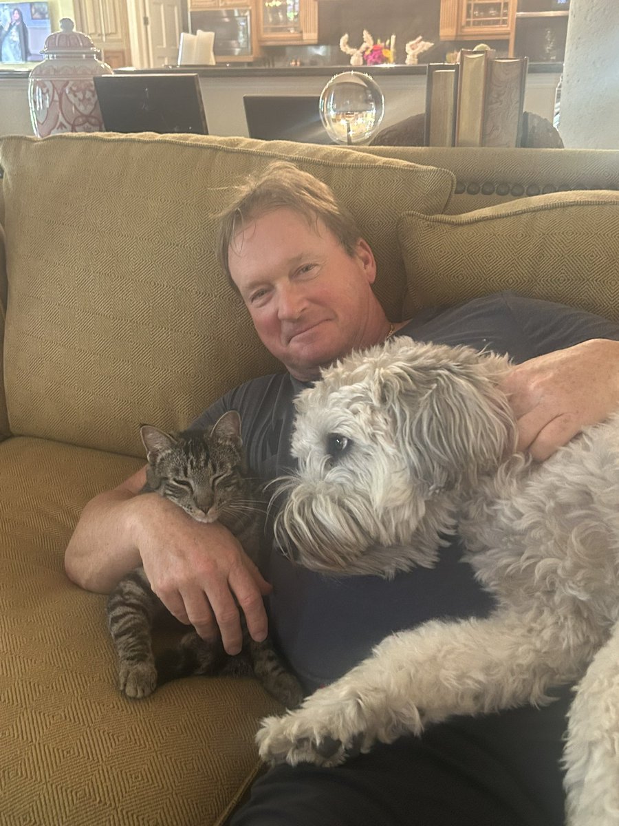 Jon Gruden tweet media