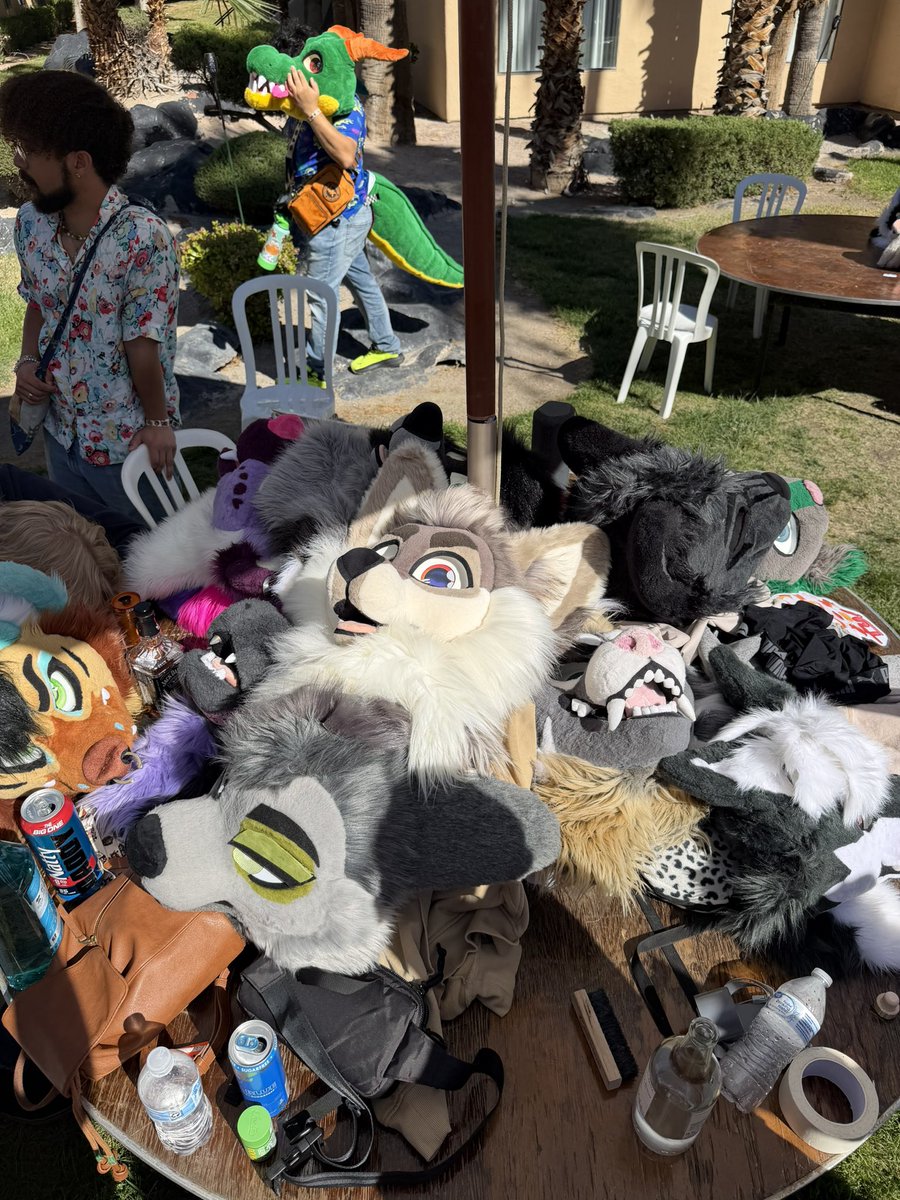 MARCO$ 🦈🐶 tweet media