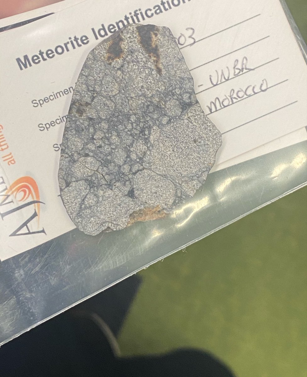 定志 (fleur) tweet media