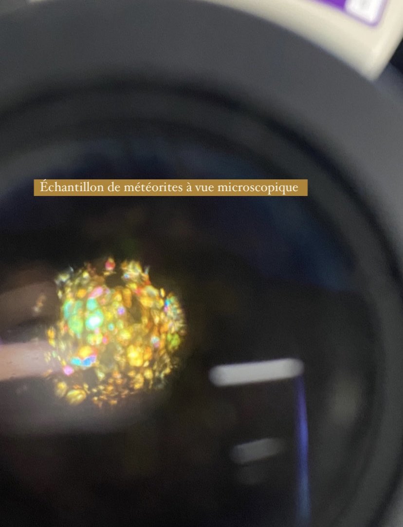 定志 (fleur) tweet media