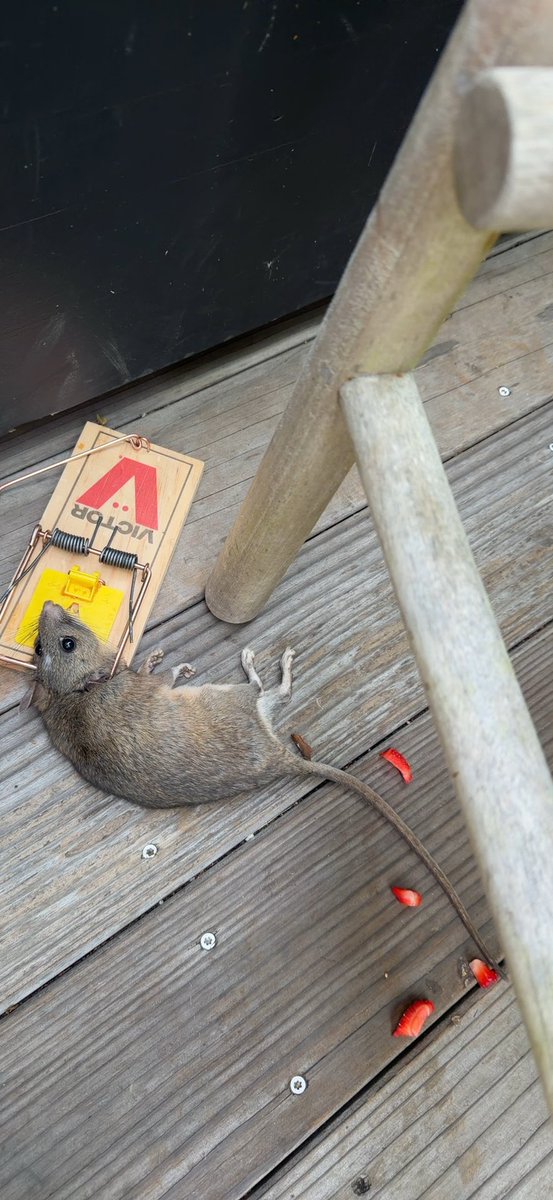 Jason Blum tweet media