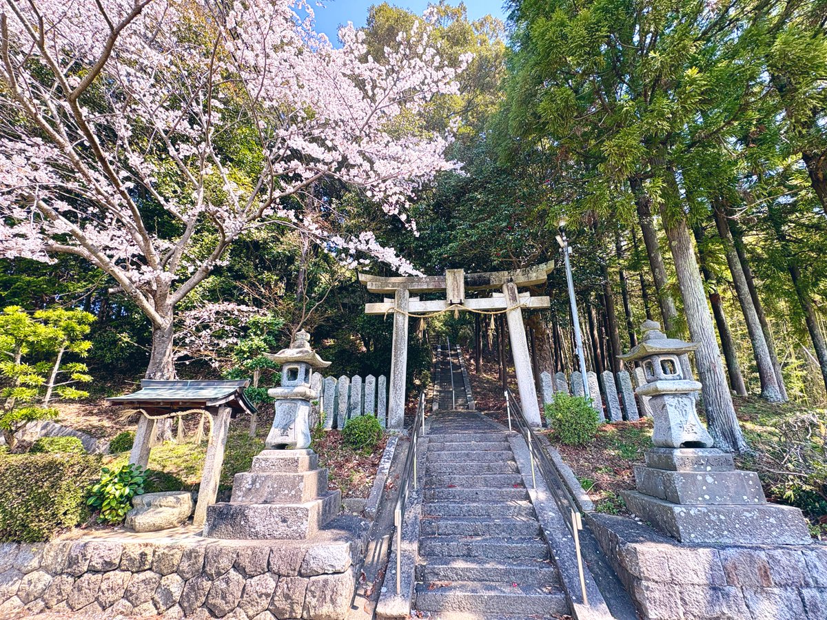 野火@奈良がすき tweet media