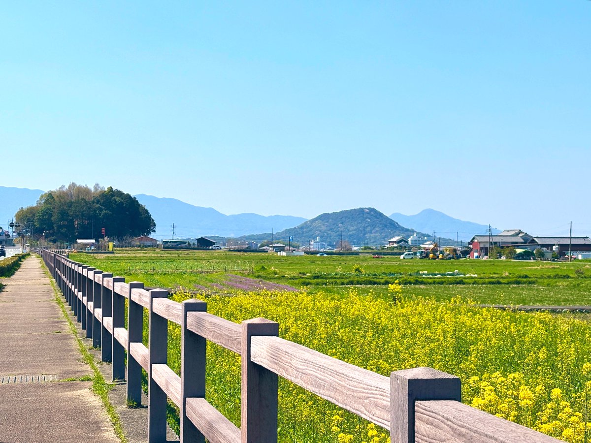 野火@奈良がすき tweet media