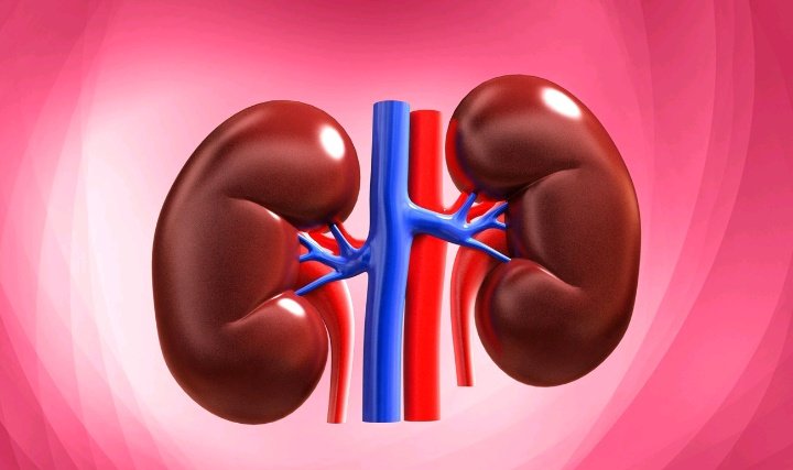 الــــولـهہ‏‏🇯🇴 𐙚 tweet media