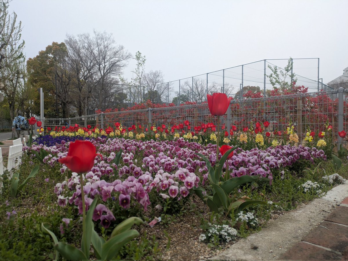 雑談好きのヒイロ🎗\(´ω｀)/🎶UBI賛成! tweet media