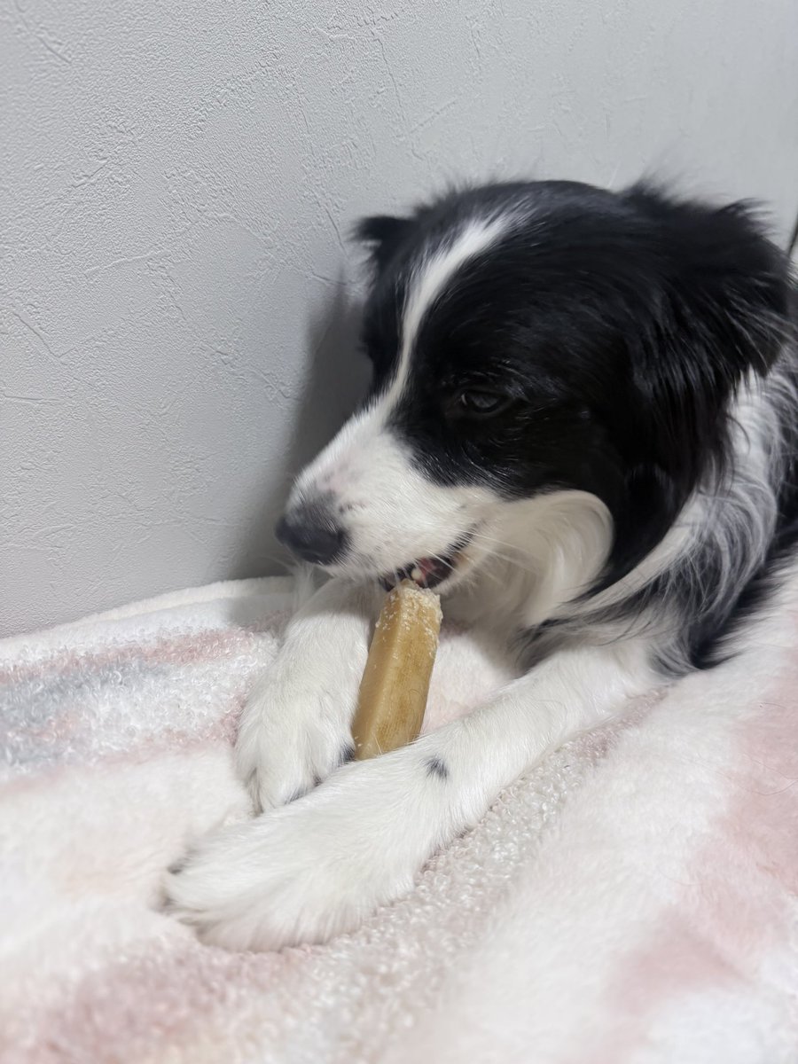 ボダコのEVE♡ tweet media