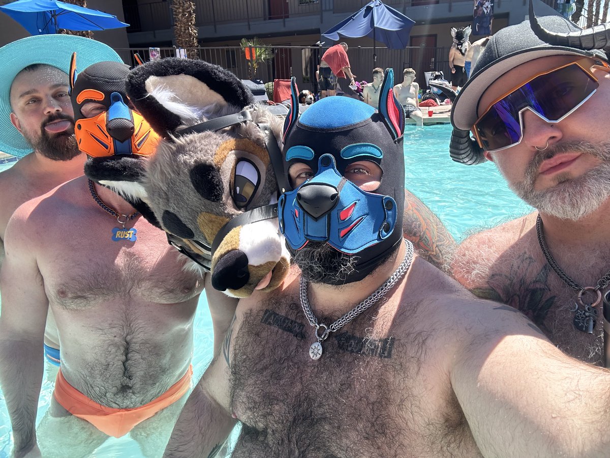 Riff.dog tweet media