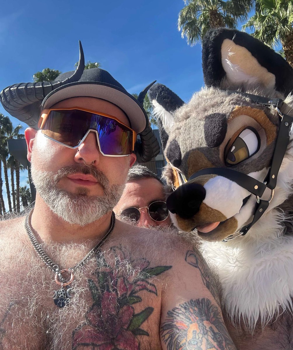 Riff.dog tweet media