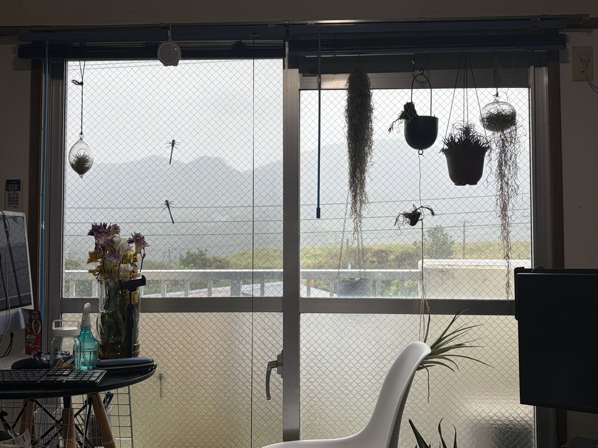 南⃝ 風⃝ 野⃝（🅷🅰🅴🅽🅾） tweet media