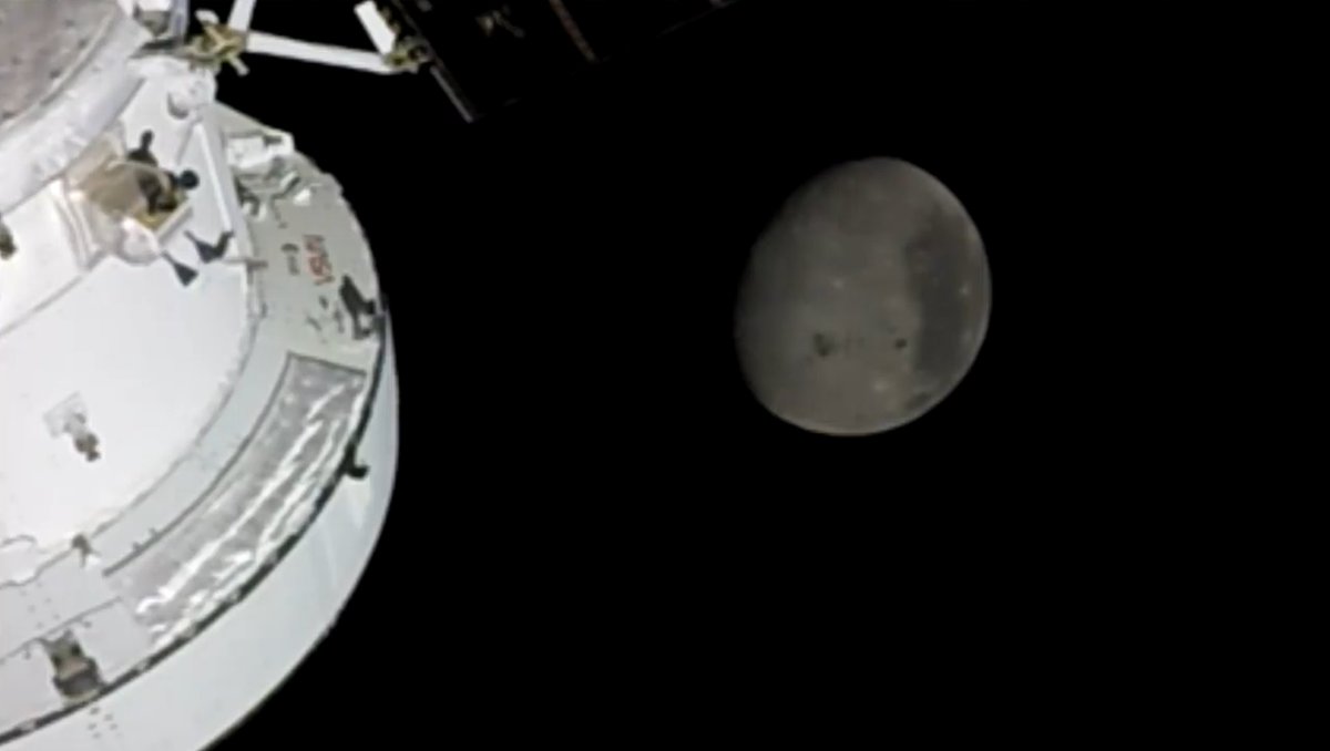 Ship 29 🇺🇸 tweet media