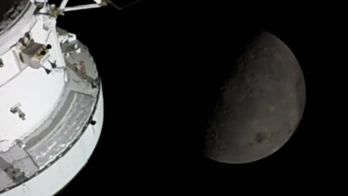 Ship 29 🇺🇸 tweet media